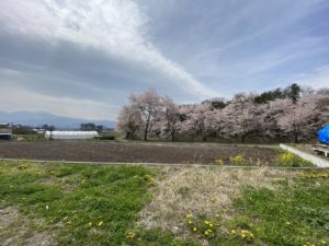 南箕輪 大泉 中古売住宅 2980万円