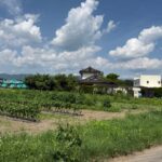 南箕輪村　神子柴　売土地　①＋②722万円